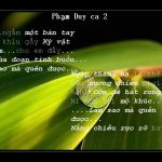 Phạm Duy Ca_3