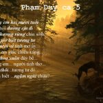 Phạm Duy Ca_6