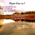 Phạm Duy Ca_8