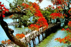 Hồi Ký 2