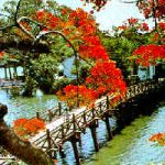 Hồ Gươm lâu ngày vắng bóng...