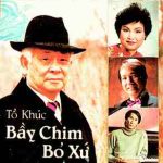 Bầy Chim Bỏ Xứ