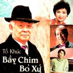 Bầy Chim Bỏ Xứ