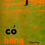Cỏ Hồng