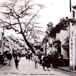 Phố Mã Mây - Rue Des Pavillons Noirs - circa 1920