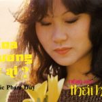 Hoa Thương Nhớ Ai