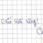 Sổ Tang