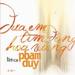 Đưa Em Tìm Động Hoa Vàng