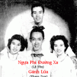 Thái Hằng