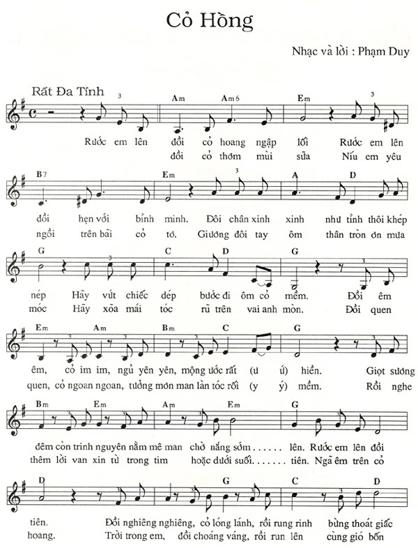 Cỏ Hồng - Phạm Duy